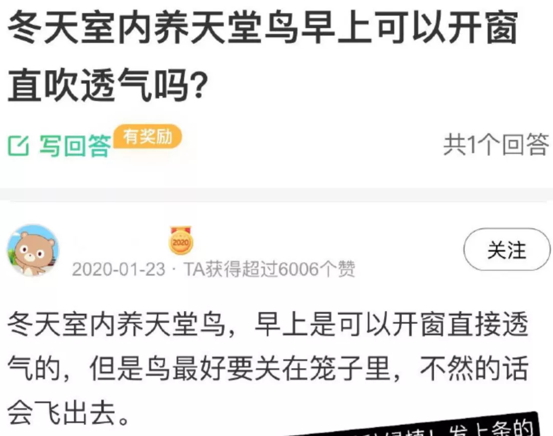 互联网问答社区里,凝练着中国人的公共历史记忆