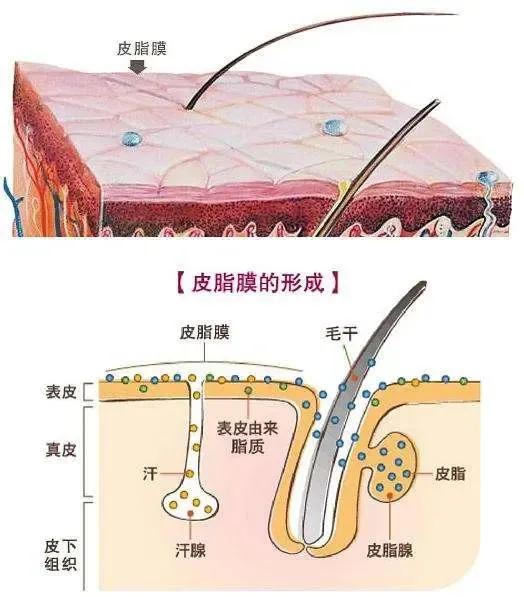 长期化妆”VS“长期素颜”：皮肤会有什么差别，看去就知道