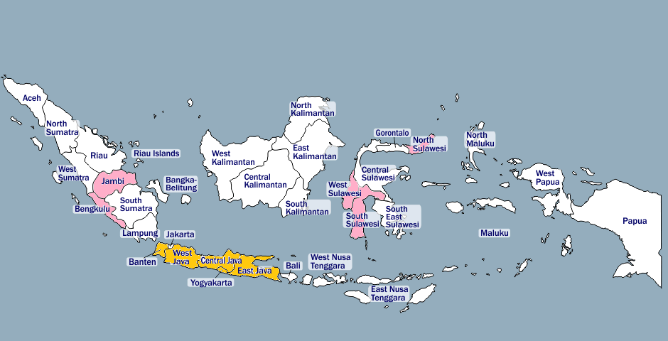印度尼西亚:东盟第二大茶叶生产国