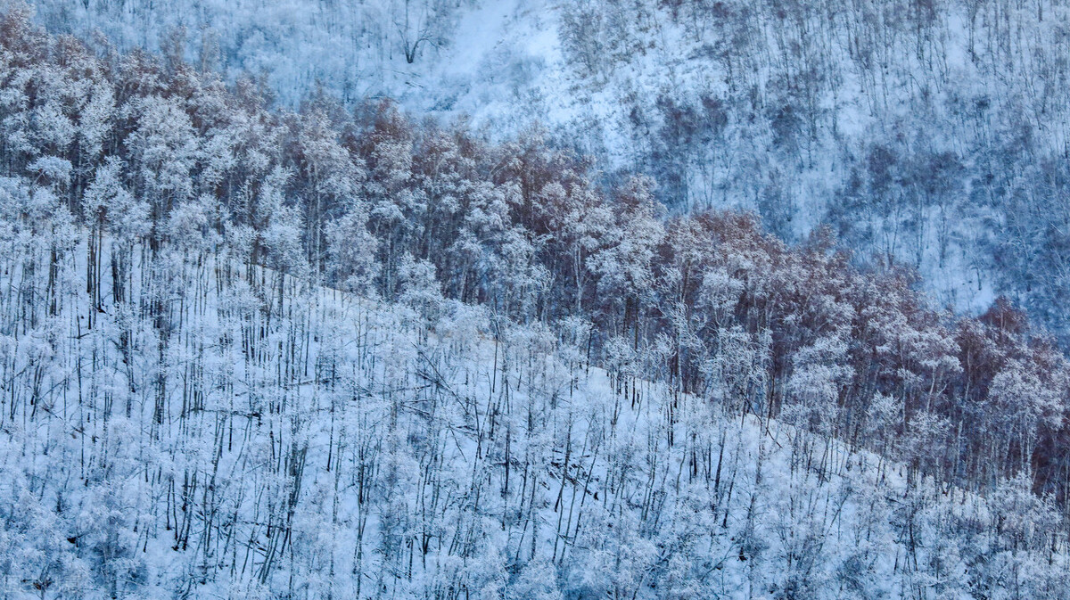 童话世界般的雪乡真的是太美了，一定要打卡国内最美8大雪乡插图42