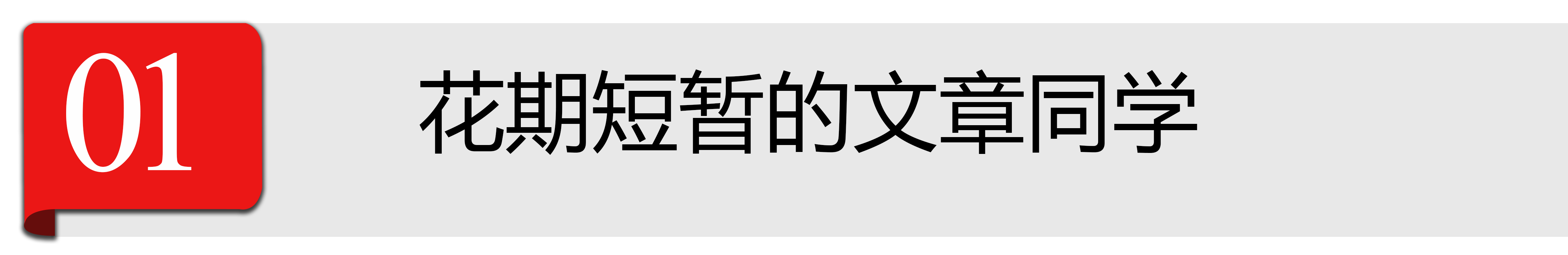 N次复出，N+1次失败，文章难复出的背后是谁在搞事情？