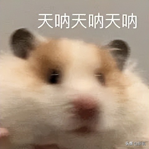 他俩都甜到被怀疑是绯闻变前任了，怎么还有人注意到她肚子没收住