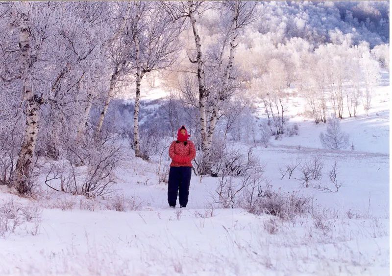 张艺谋的成名之路，网友高呼：他的经历比他拍的电影还精彩