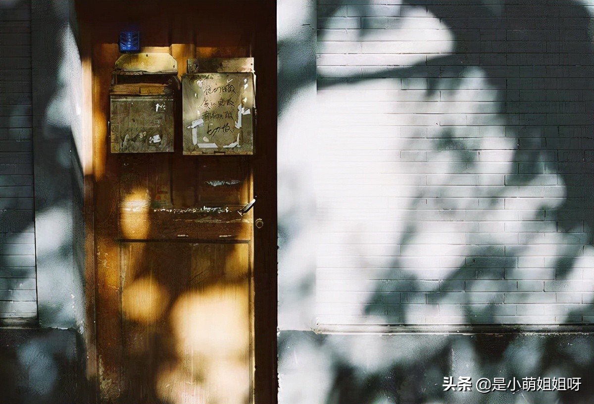 1个月涨粉1万，你永远可以相信努力的意义