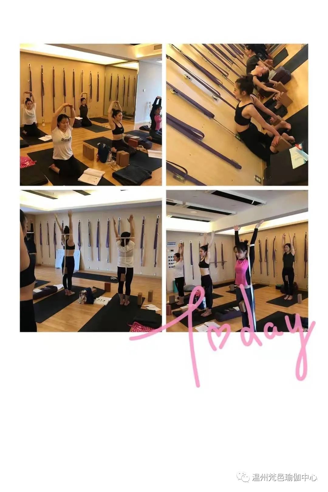 温州梵邑瑜伽学院 | RYT200小时全美瑜伽联盟认证教练班，招生中