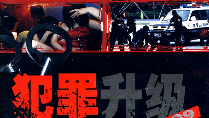 8"大案》《西安大追捕》《大案侦破警示录》《九一常德大案侦破纪实》