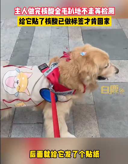 网传陕西佳县现“铁笼女”，官方介入【三分钟法治新闻全知道】