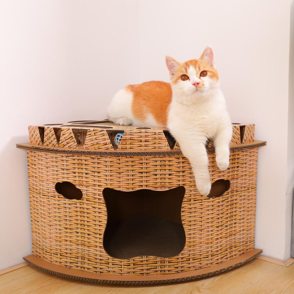 猫藓会传染给人！猫藓怎么预防，得了猫藓怎么办？