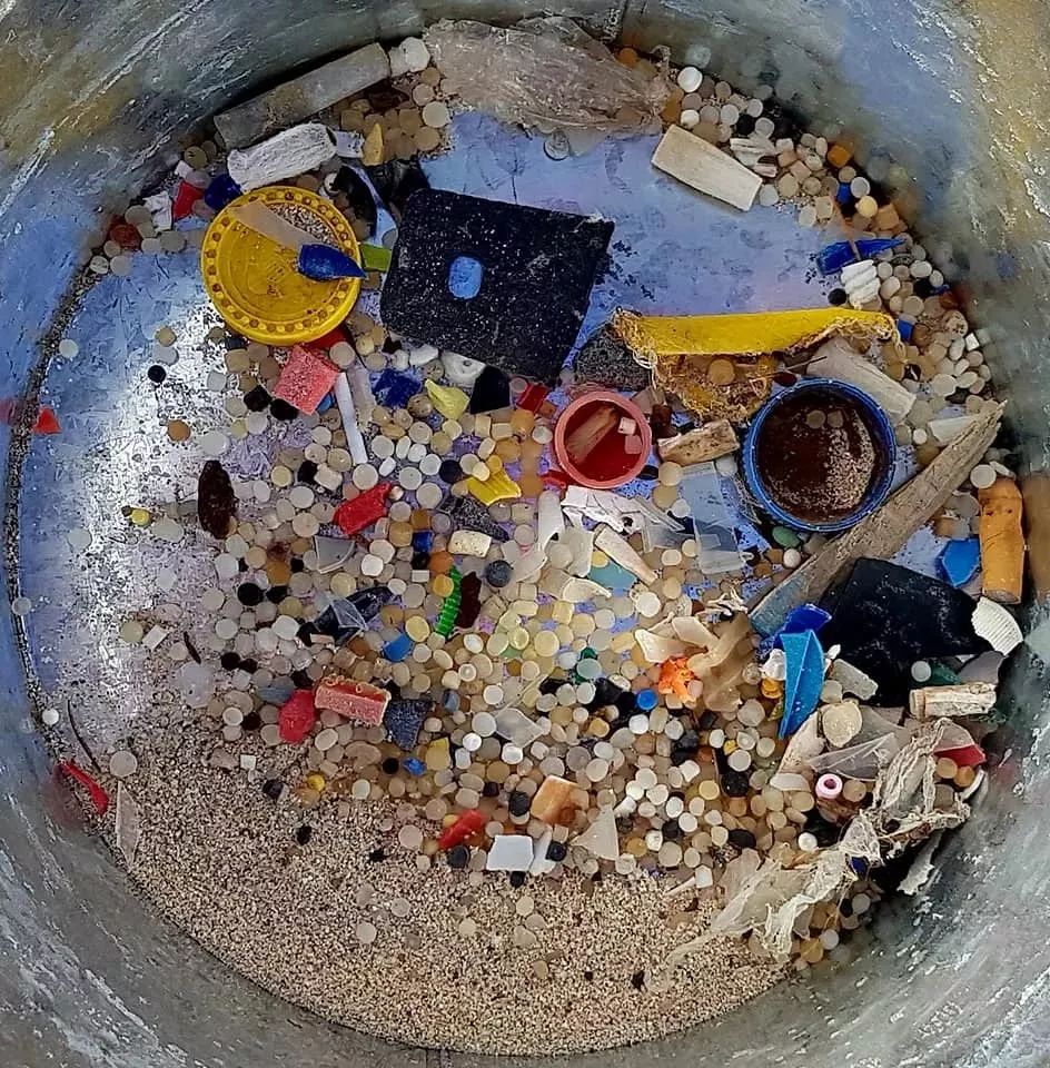 生态头条 | 人类纵的这把火，终于烧到自己身上