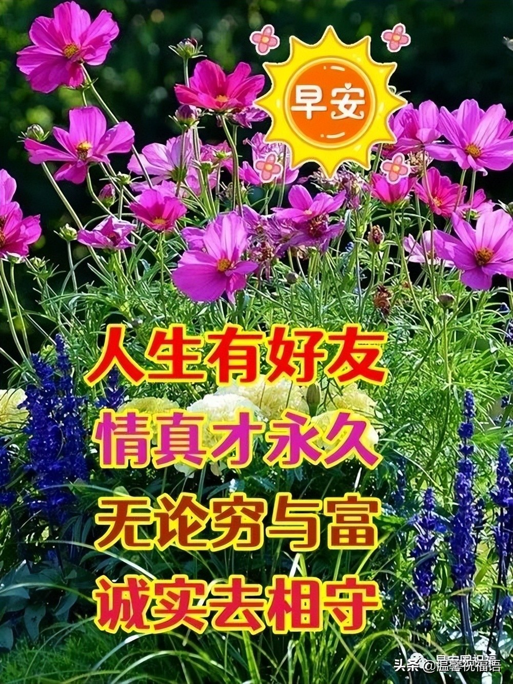 祝福朋友的话语暖心(5月13日周五早安祝福！朋友如金，贵在真心，天天问候，字字暖心)