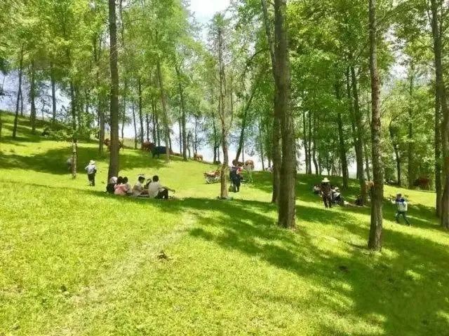 临夏州旅游大通道康乐县段沿线景点介绍