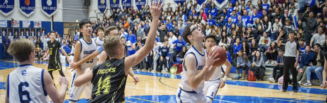 莫比岛择校｜北京顺义国际学校ISB