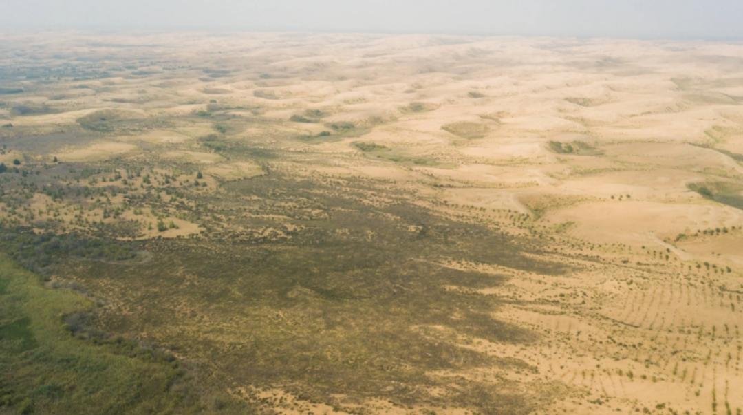 美科学家发现地球正“变绿”，原因在中印，专家却对印度很担忧？