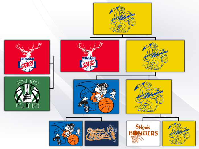 为什么进了nba1(NBA史上第一个总冠军是哪个球队？)