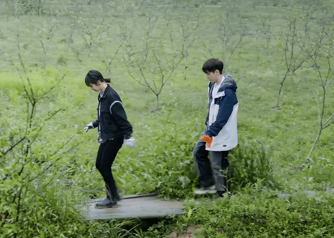 杨紫的恋情被曝，吵的沸沸扬扬，到底跟这个人有没有关系呢？