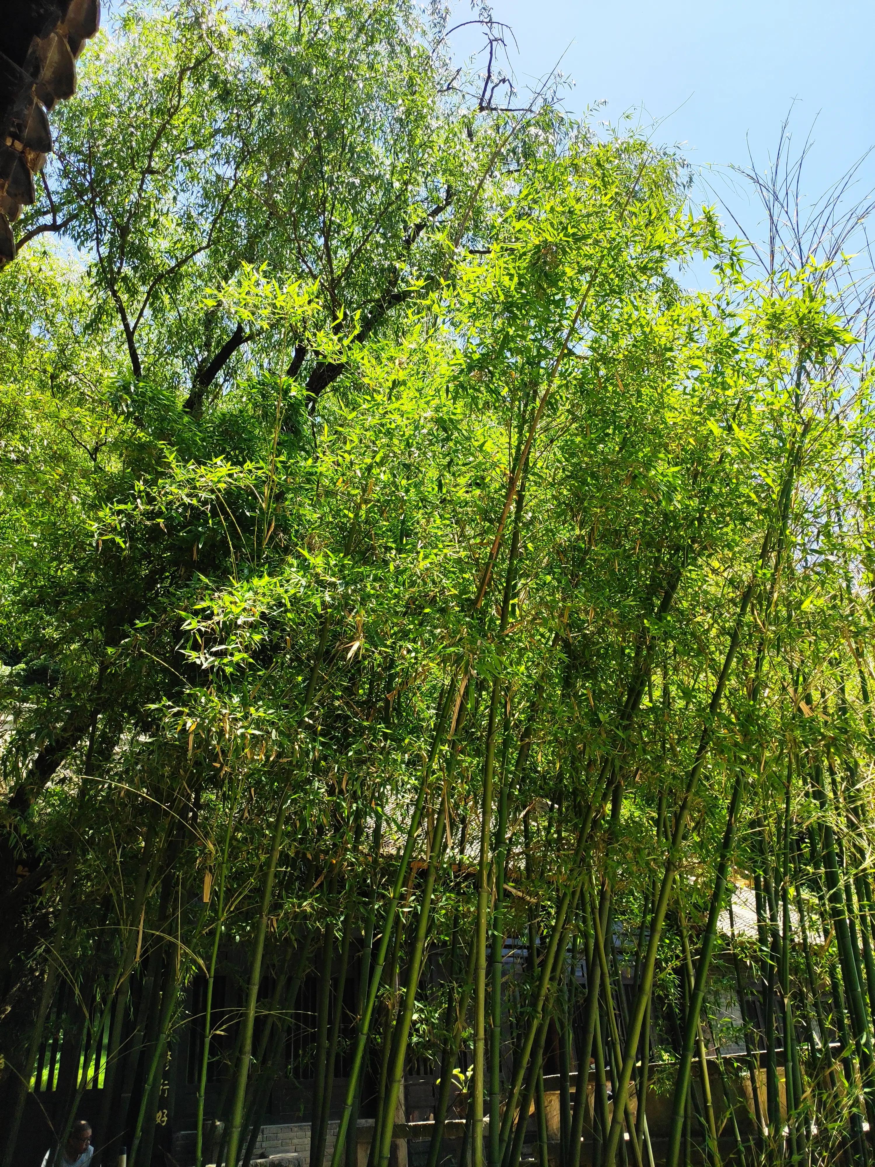 律宗祖庭·禅意浓浓——意想不到的收获