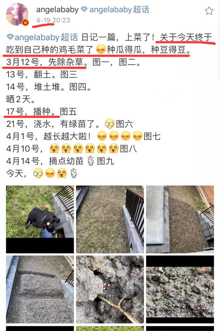 是女明星也是“菜农”！柳岩吃过刘亦菲种的茄子，张馨予家有农场