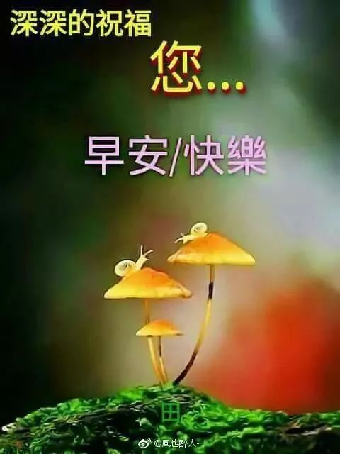 2022早晨好漂亮祝福语录图片 朋友圈精选唯美带字的早上好问候图片