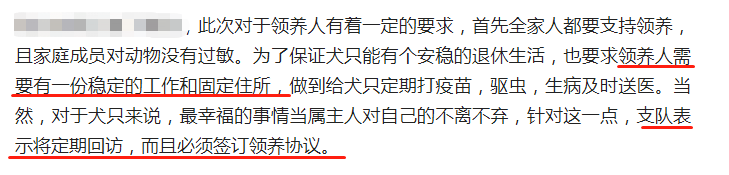 全网最聪明的狗，化身全职保姆，监督萌娃吃饭写作业，狗比人精