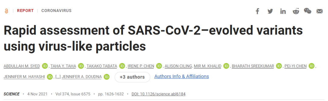 新平台安全简捷研究结构蛋白突变对病毒生命周期关键步骤的影响