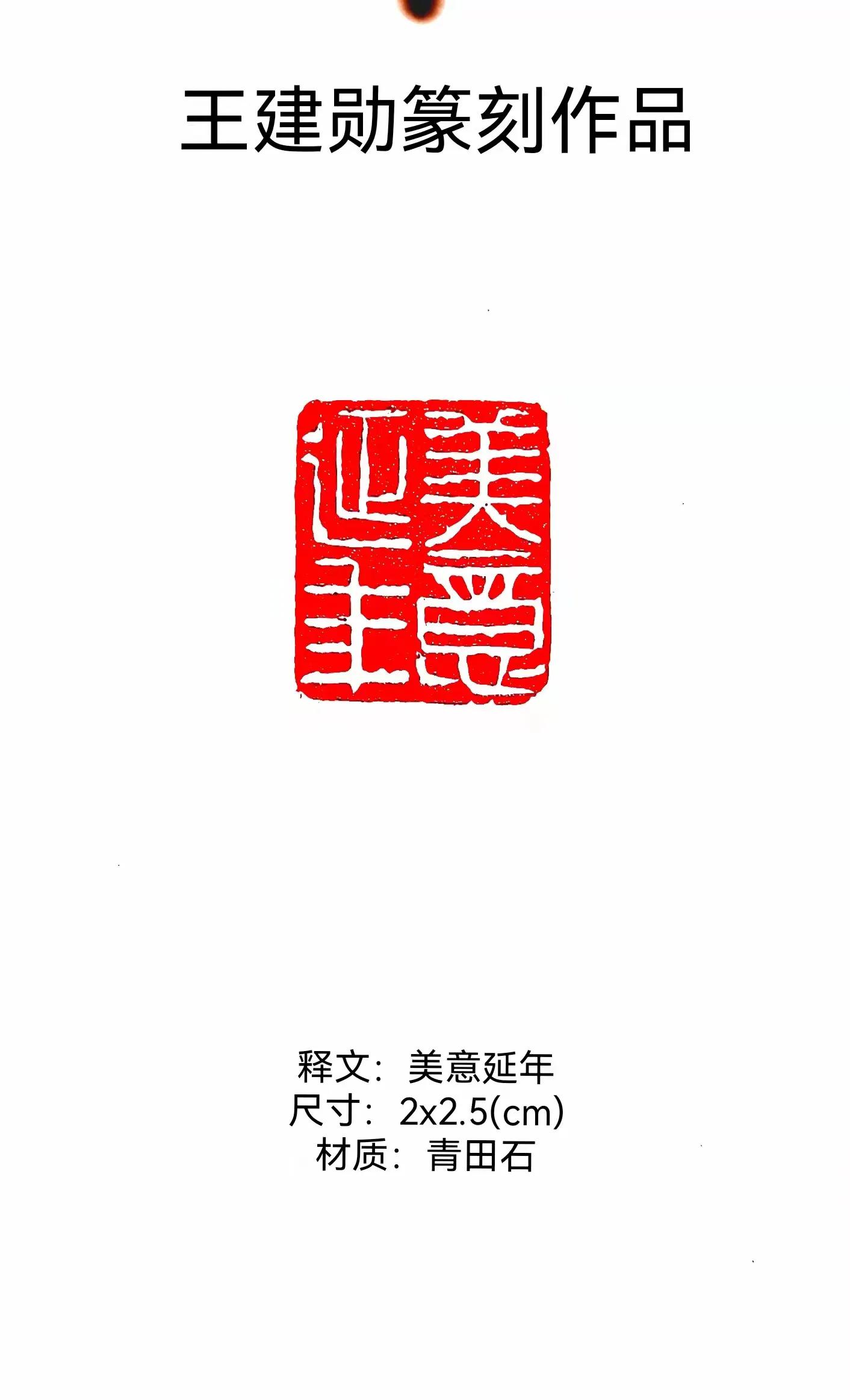 中国泰山华侨书画院 名誉院长：著名书法家王建勋作品赏析
