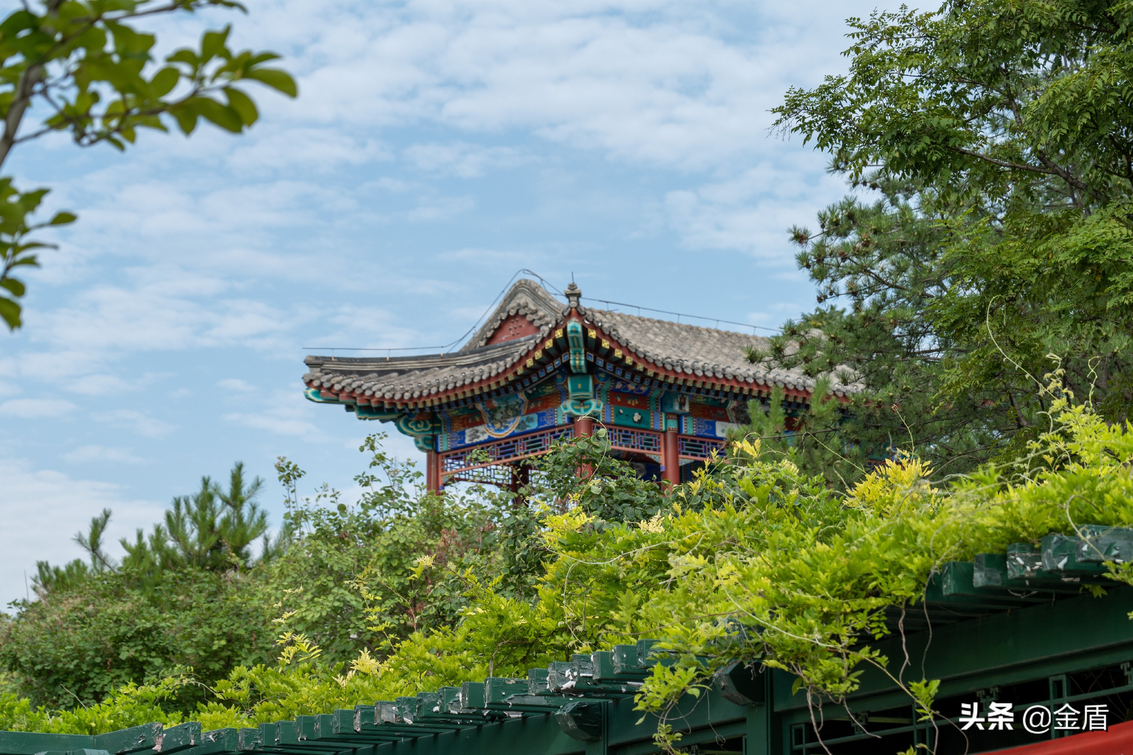 城市副中心网红打卡地——西海子公园