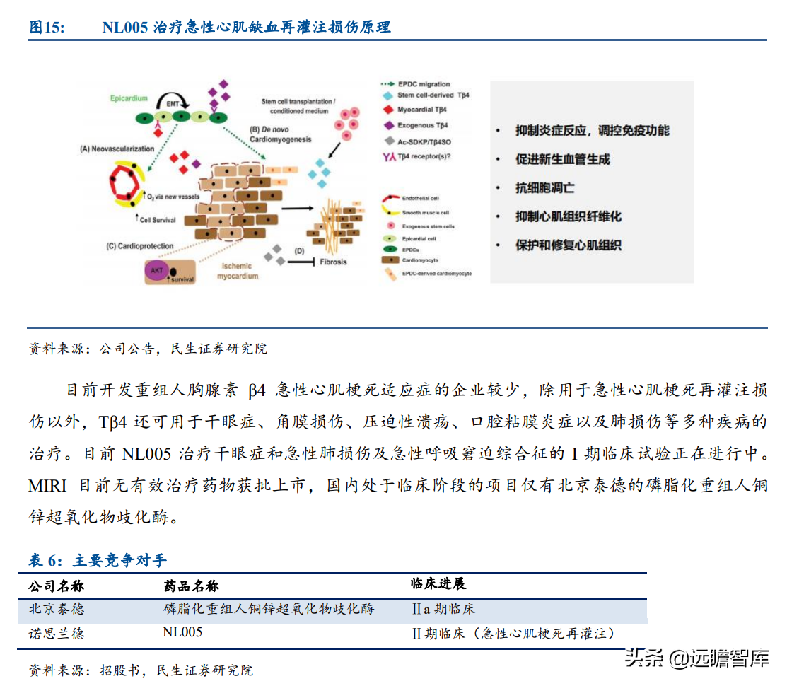 基因疗法热度持续攀升，新秀：诺思兰德，拳头产品剑指超百亿市场