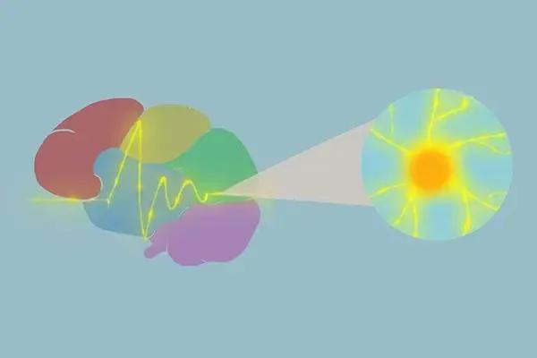 适当饿肚子，也是一种养生？懂得挨饿的人，好处或会悄然造访