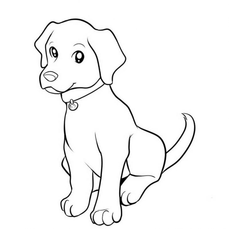 动物漫画图片铅笔画(用一只简单的铅笔画狗) - 赤虎壹号