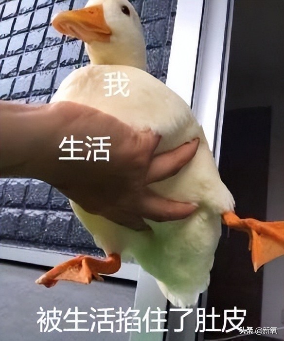 他俩都甜到被怀疑是绯闻变前任了，怎么还有人注意到她肚子没收住