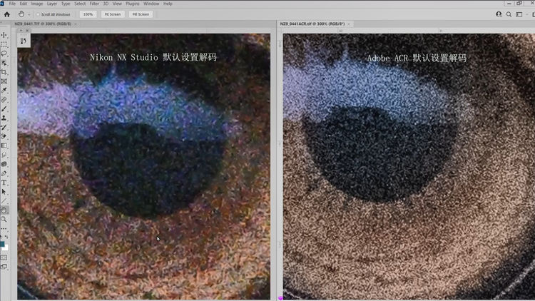 尼康Z9 非洲实战测评（一）优秀的高感画质
