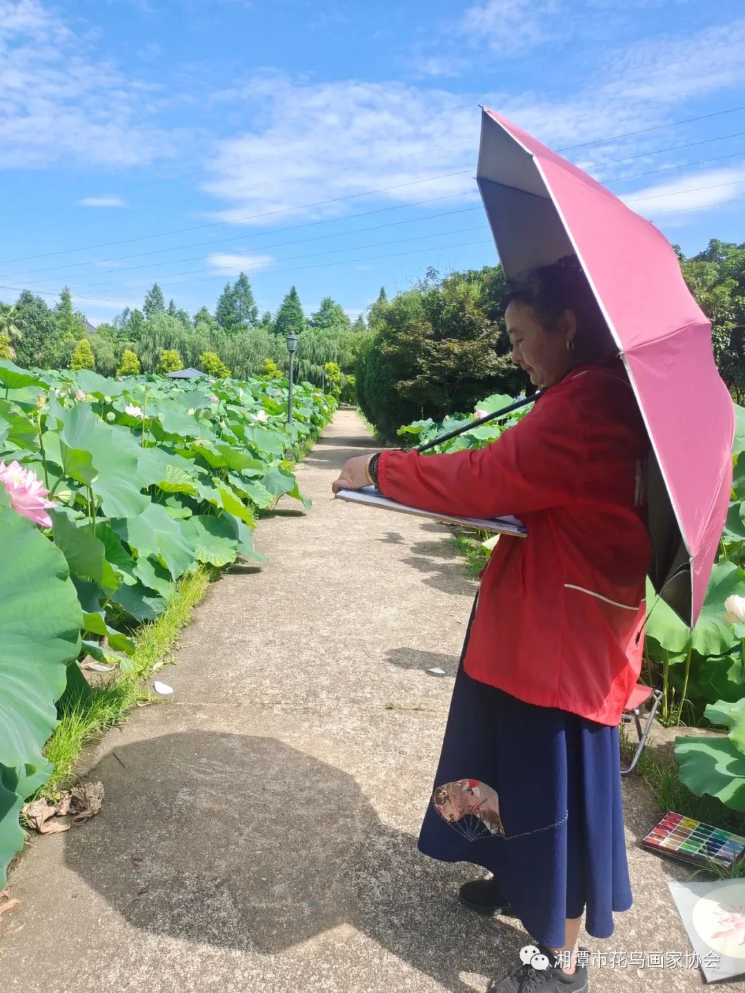 湘潭市花鸟画家协会盘龙大观园荷花写生活动圆满成功