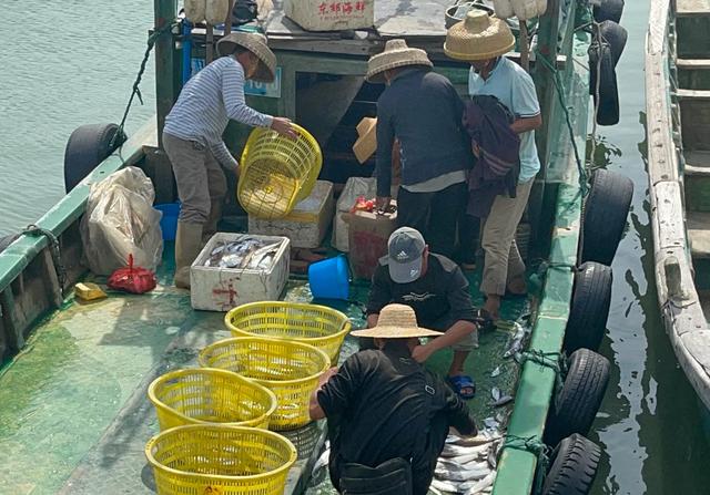 万宁印象：乌场渔港很热闹，石梅湾冲浪是一种治愈