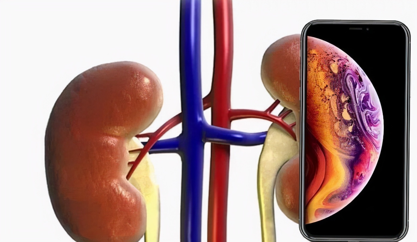 2011年，安徽卖肾买苹果手机的高中生，获赔百万，生命步入倒计时