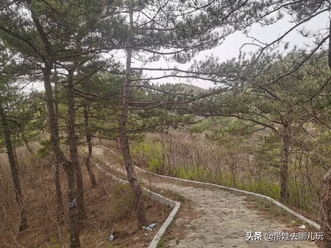 昌平旅游景点（昌平免费景区的环山步道游览推荐）