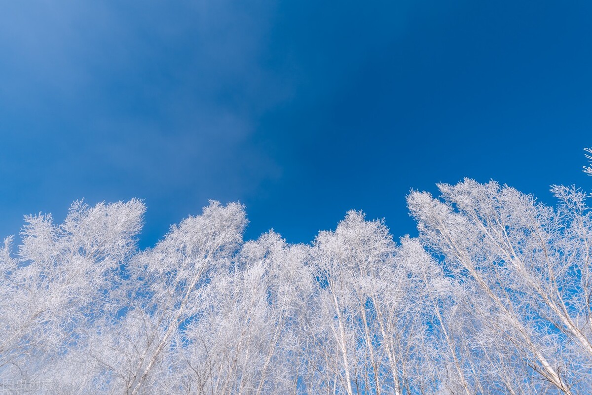 童话世界般的雪乡真的是太美了，一定要打卡国内最美8大雪乡插图40