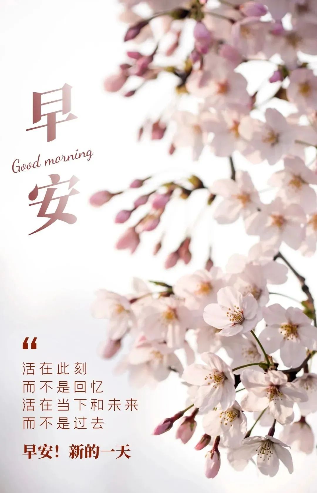 04.12」早安心语,正能量阳光语录,清晨激励人心句子图片