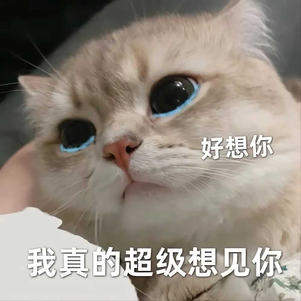 表情包：等能见面了-今日头条