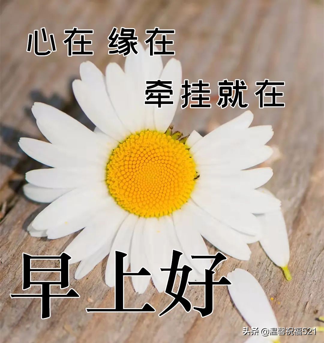 非常时期早上好问候朋友祝福美句大全 唯美春天免打字动态图表情包