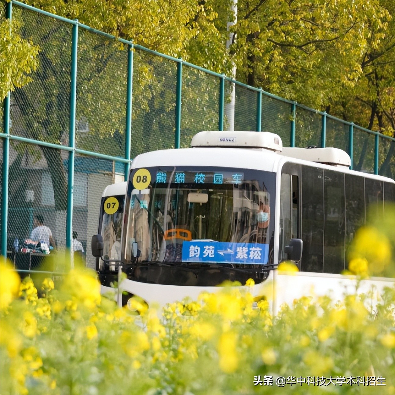 急速升温！这个夏天，华中科技大学将成全国“最火热”大学！吸引世界目光！