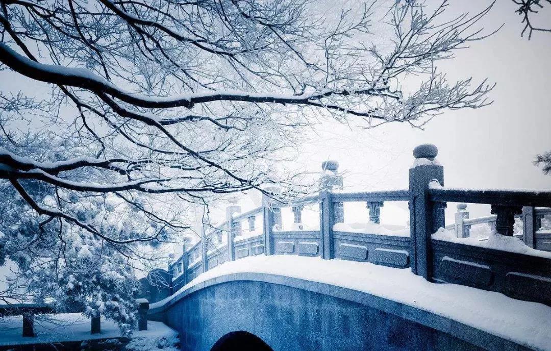 冬至｜冬至阳生春又来，亭前垂柳珍重待春风