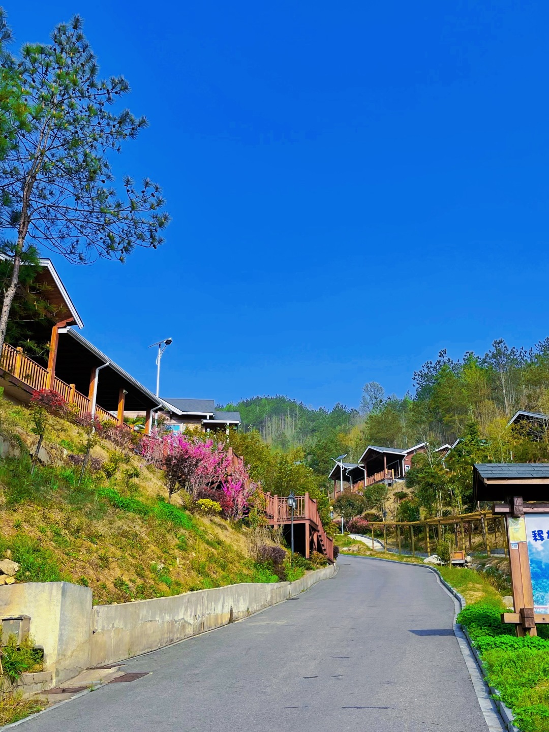 太治愈~武汉自驾2H，到山里去隐居~木屋森林溪水，神仙度假