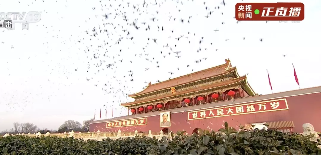 祝福祖国,繁荣昌盛!天安门广场新年首场升旗仪式现场直击——