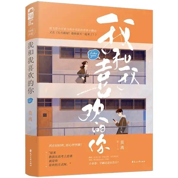 最美不过少年时，青春校园文推荐（32）