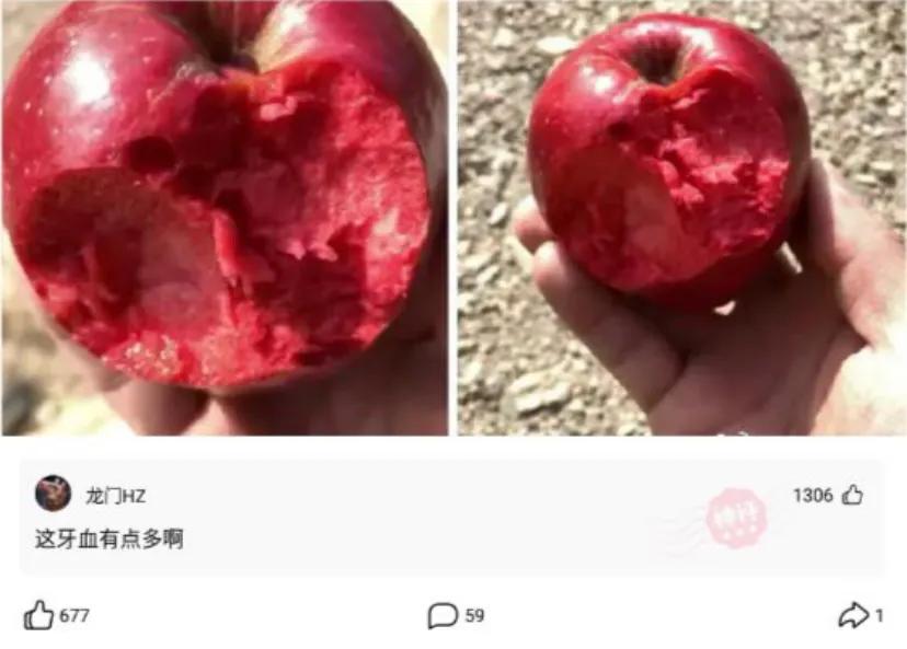 女朋友暖心留言合集：那些让人哭笑不得的甜蜜瞬间