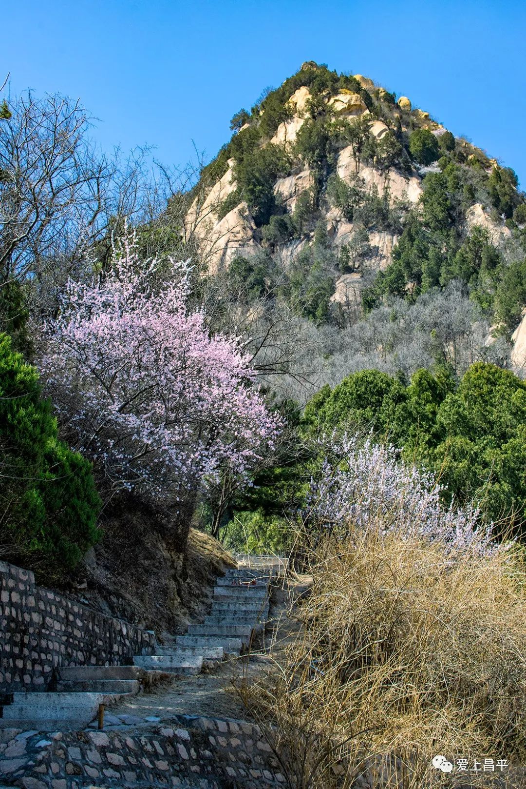 美成仙境的京郊延壽醉美公路，玩賞正當(dāng)時(shí)！