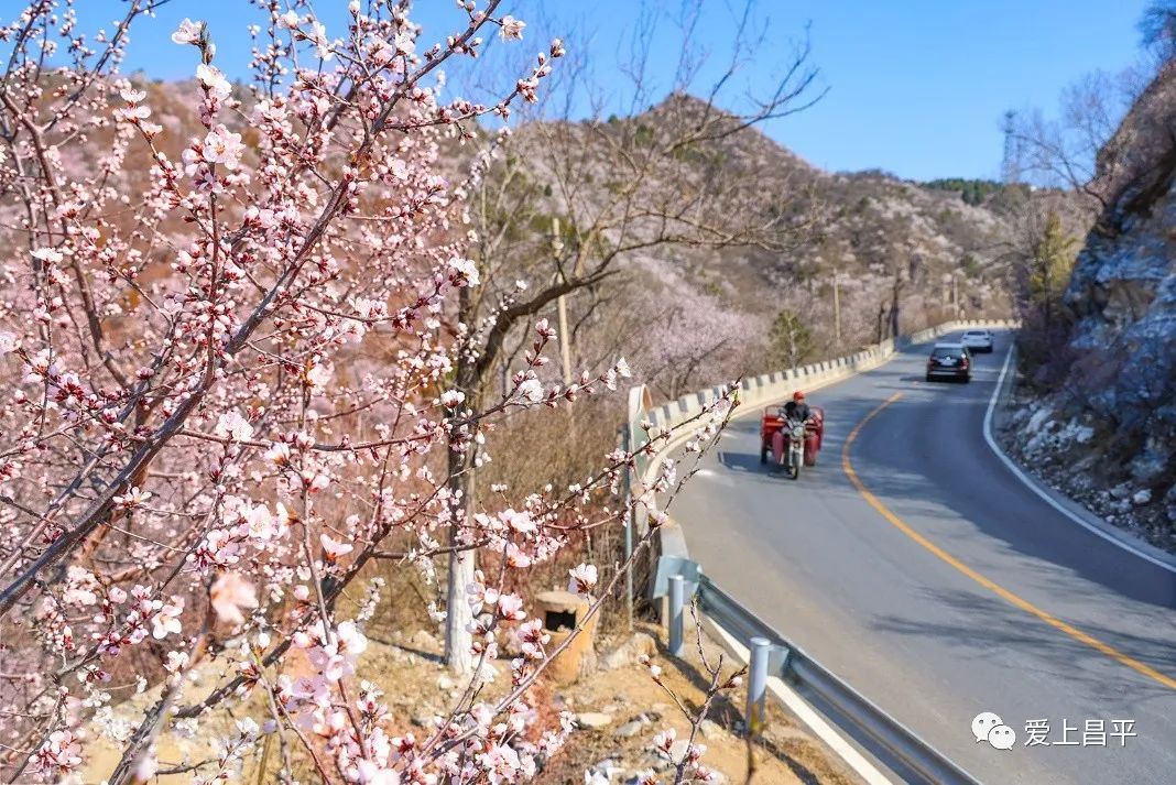 美成仙境的京郊延寿醉美公路，玩赏正当时！