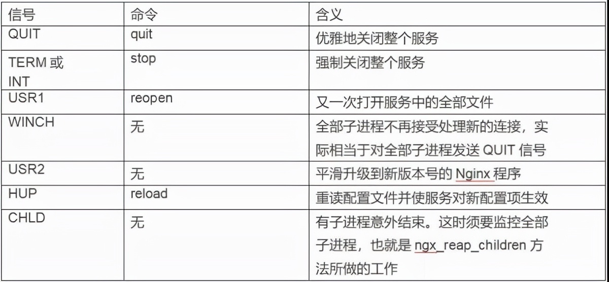 最近和 Nginx 杠上了