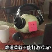 洛克王国 御三家 水与火的争斗
