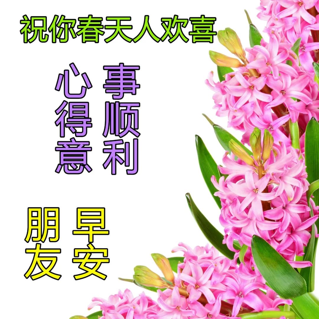 2022.04.18早安心语，早上好正能量感悟美句，愿你每天开开心心